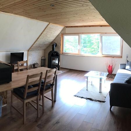 Ferienwohnung Julia ホーンシュタイン エクステリア 写真