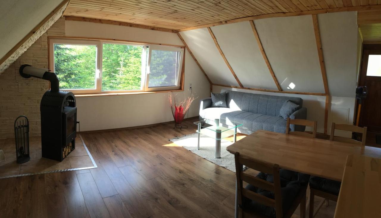 Ferienwohnung Julia ホーンシュタイン エクステリア 写真